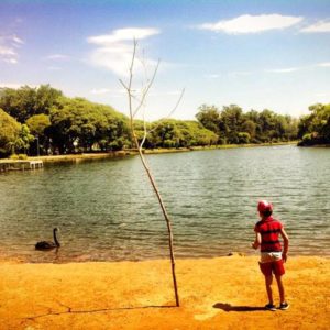 parque ibirapuera vila nova conceição sp 6