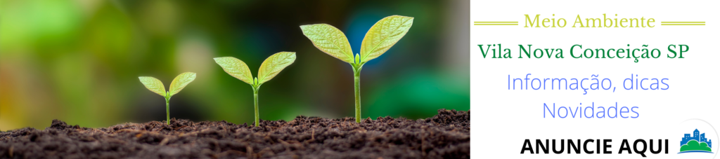 Projeto Sementes educação alimentar e sustentável com hortas pedagógicas 1