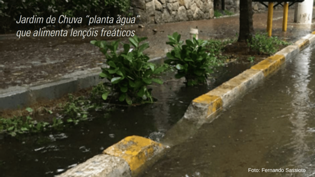 Jardins de Chuva: muito além de paisagismo 1