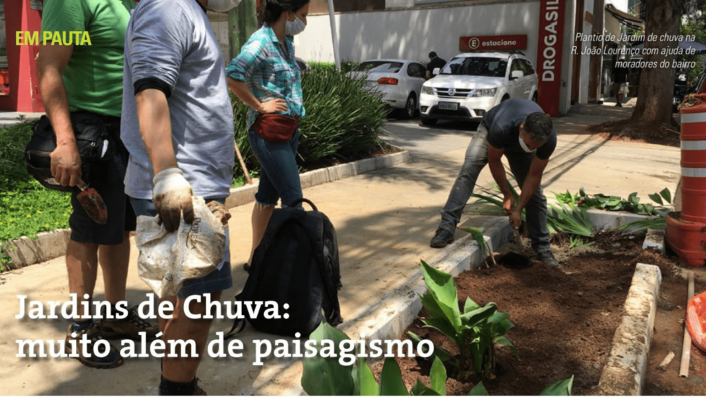 Jardins de Chuva: muito além de paisagismo 25