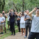Vem Passarinhar Sampa lança calendário 2025 com atividades gratuitas para observação de aves na capital paulista